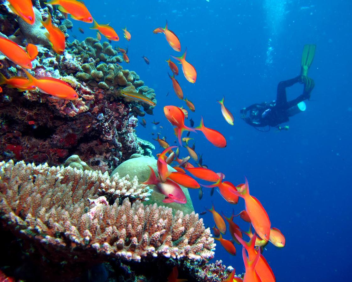 Kandima Maldives Kudahuvadhoo 외부 사진 A diver with a camera